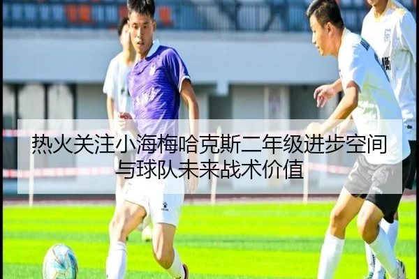 热火关注小海梅哈克斯二年级进步空间与球队未来战术价值